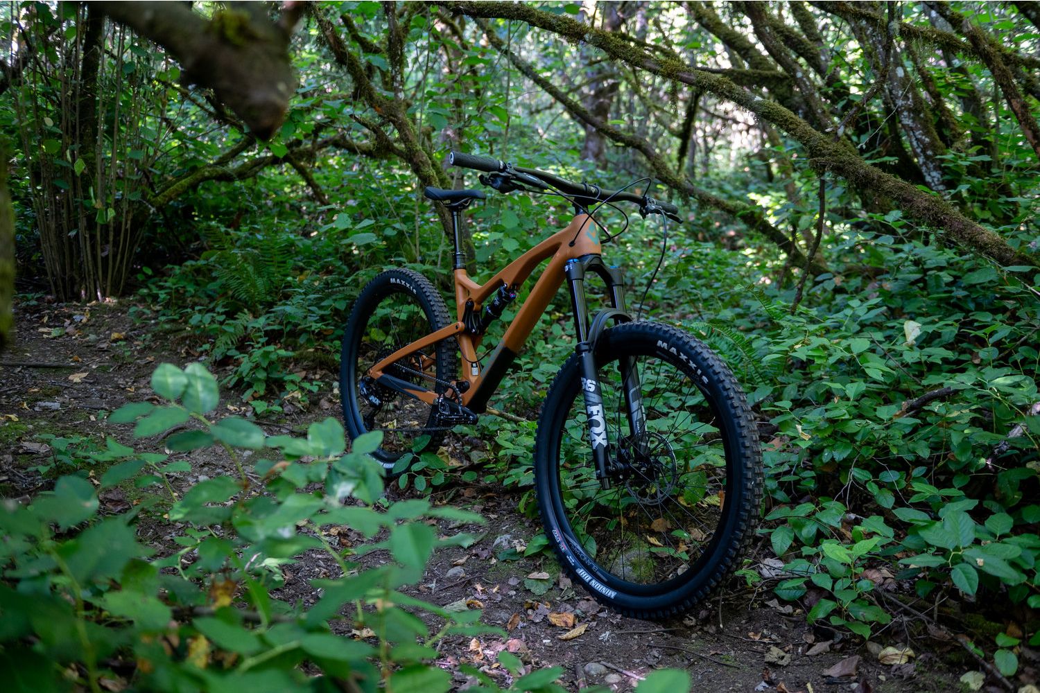 Diamondback release 4c carbon sale