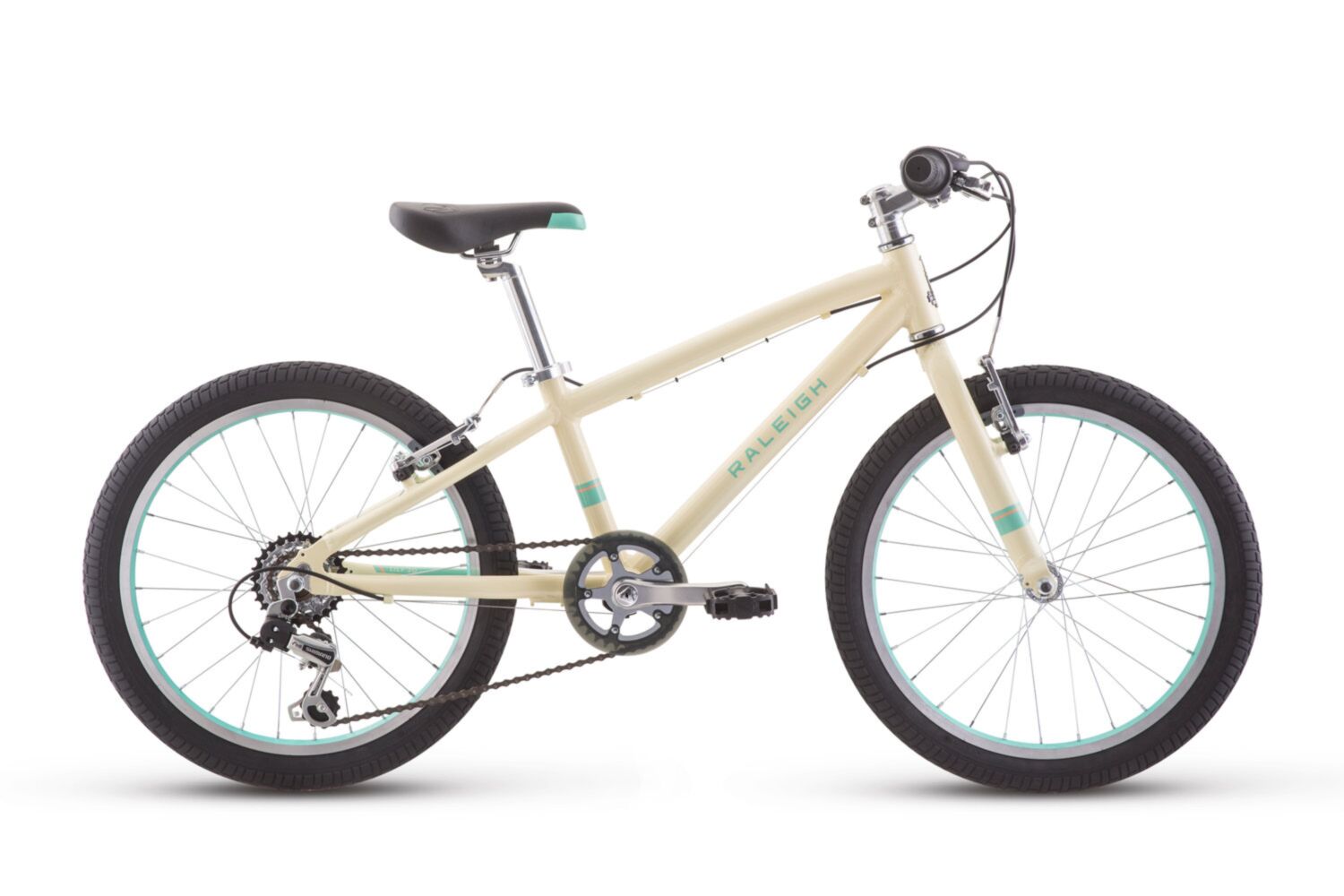 raleigh diamondback