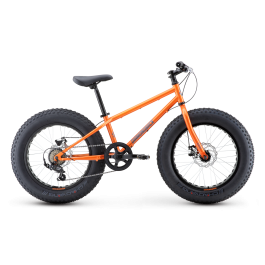 El Oso Nino 20 Diamondback Bikes