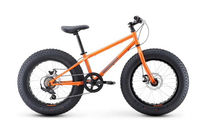 El Oso Nino 20 fat bike kids mountain bike